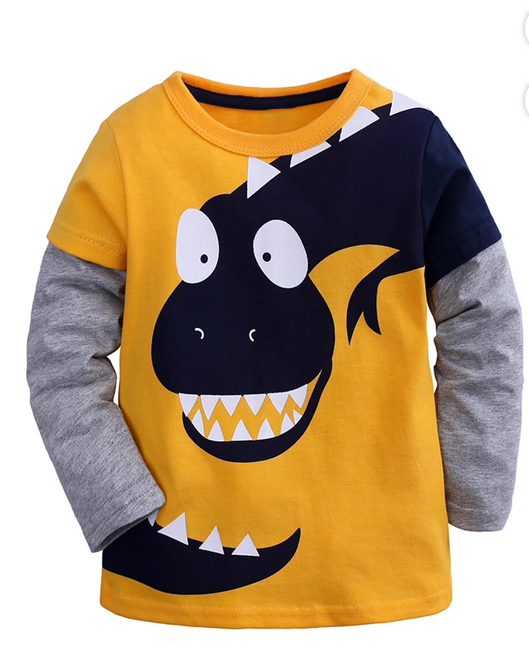 Kids Tales Boys Dinosaur Graphic Long Sleeve