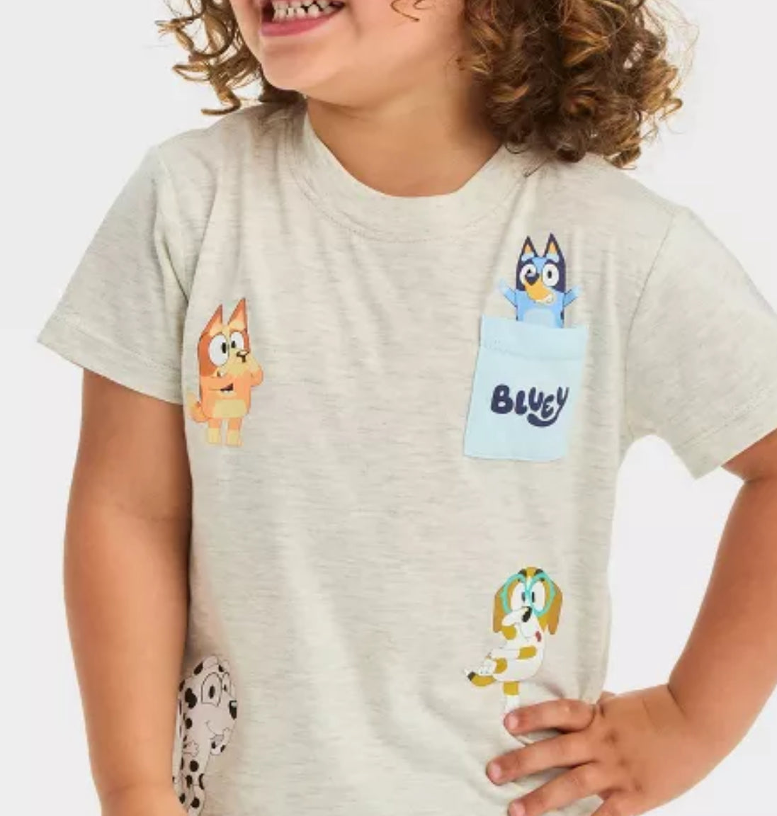 Toddler Bluey and Friends Short Sleeve Pocket T-Shirt - Cream