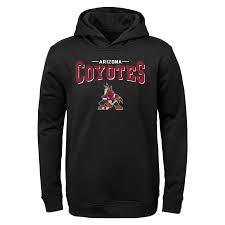 Arizona Coyotes NHL Toddler Hooded Sweatshirt- Black